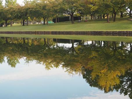 秋の公園　紅葉の映る水路③ 水路,水辺,水の写真素材