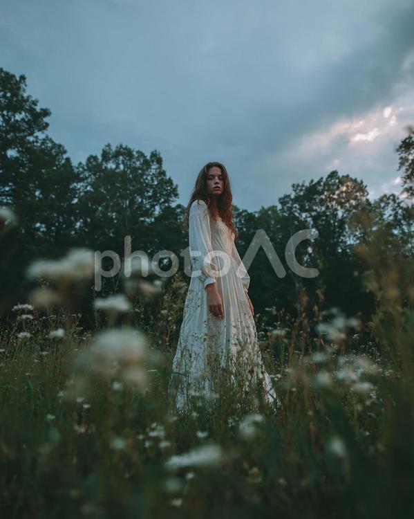 夕暮れの草原に佇む神秘的な女性 女性,森,林の写真素材