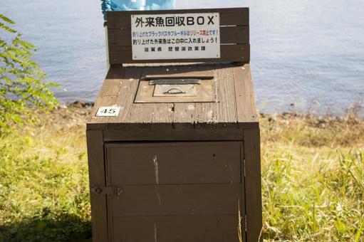 外来魚回収BOX 外来魚回収BOXの写真