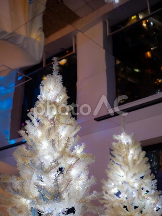 【クリスマスツリー】高層階から見るクリスマス クリスマス,クリスマスツリー,イルミネーションの写真素材