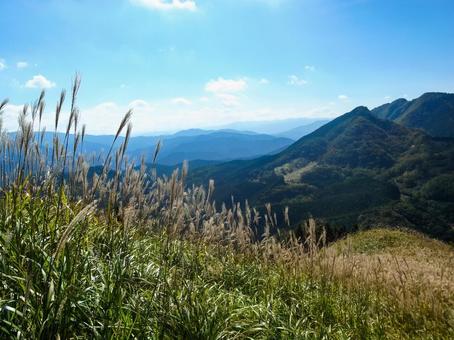 秋の曽爾高原 曽爾高原,ススキ,山の写真素材