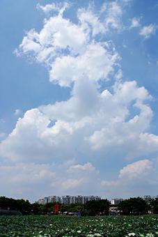夏の雲 広東 夏の雲 広東の写真