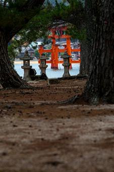 厳島神社 厳島神社 厳島神社,宮島,広島県の写真素材