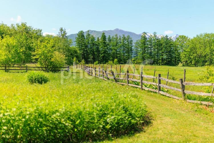 牧場の風景 牧場の風景,牧場,柵の写真素材