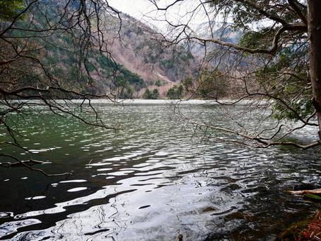 奥日光 湯の湖 奥日光 湯の湖の写真