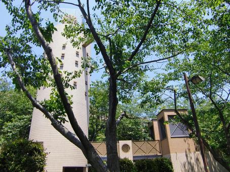 五月の緑風景-24 五月,緑,風景の写真素材