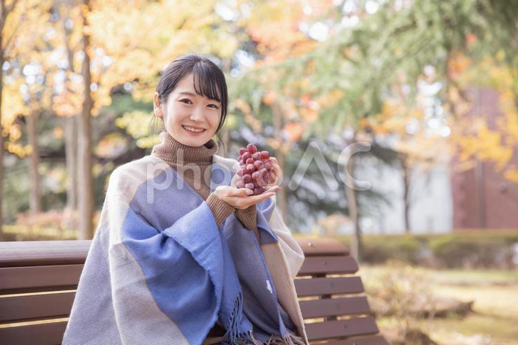 秋の公園でブドウを持つ女性 ブドウ,マスカット,果物の写真素材