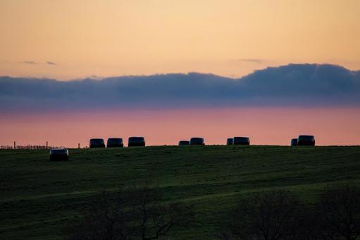 牧草地を覆う、たそがれ時の静寂 夕焼け,夕暮れ,日没の写真素材