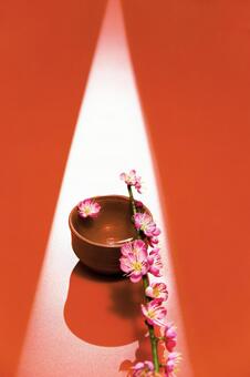 梅の花21 梅の花,紅梅,ぐい飲みの写真素材