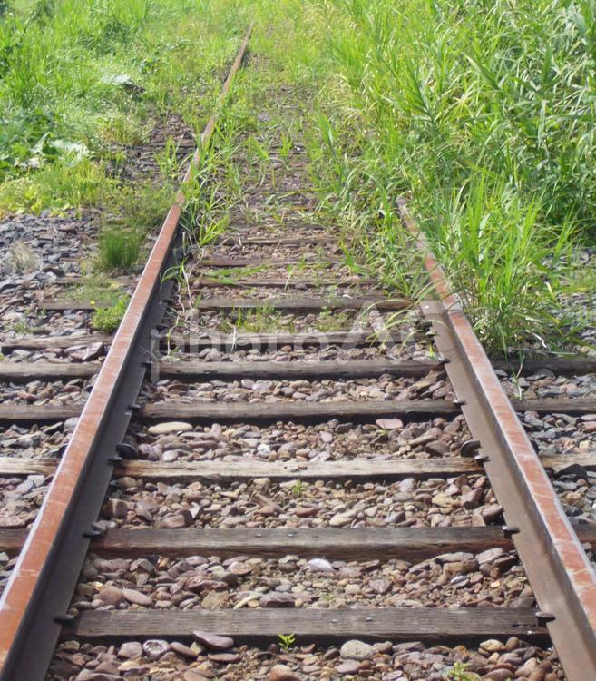 自然に溶け込んでいく北海道の廃線跡 線路,レール,鉄道の写真素材