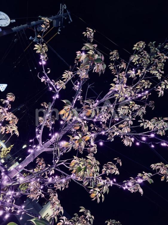 LEDライト 照明,led,ライトの写真素材