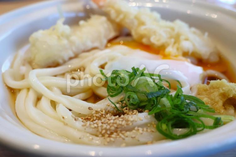 さぬきうどん店のえび天温玉ぶっかけの温 背景,さぬきうどん,さぬきの写真素材