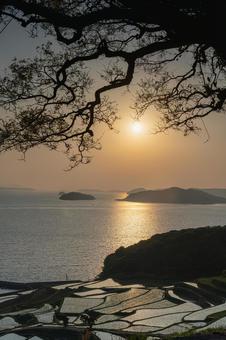 佐賀-【土谷棚田の夕景】 佐賀-【土谷棚田の夕景】 佐賀県,佐賀,松浦市の写真素材