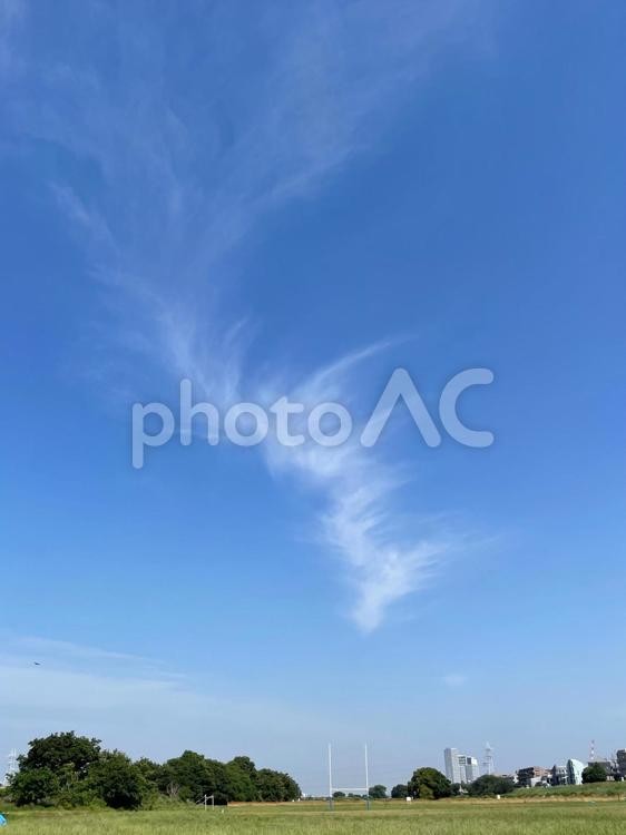 芝生と青空と雲 芝生,青空,晴天の写真素材