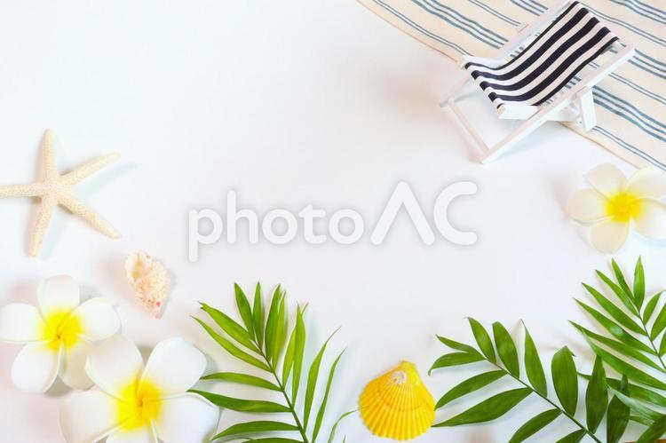夏のイメージのフレーム　６ ビーチ,プール,夏の写真素材