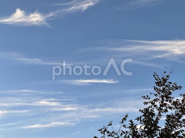 爽やかな青空の美しい白い雲の背景 空,雲,薄雲の写真素材