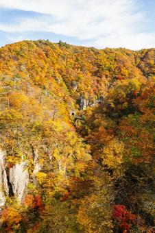 鳴子峡の秋-Vol.4(34) 渓谷,峡谷,鳴子峡の写真素材