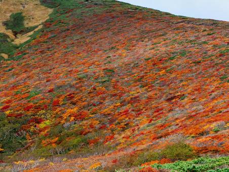 紅葉の栗駒山(須川岳) 紅葉の栗駒山(須川岳)の写真