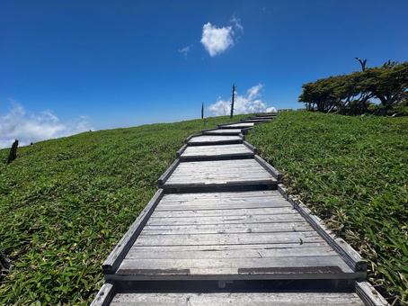 大台ヶ原正木峠付近 大台ヶ原正木峠付近の写真