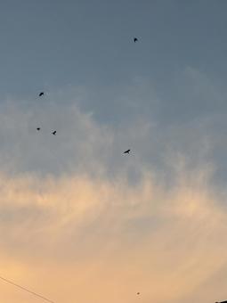 Photo, sunset, setting sun, sky, 
