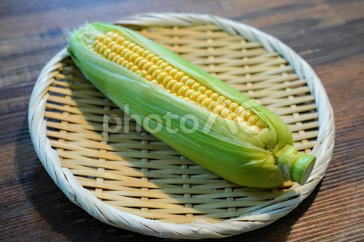 とうもろこし 夏,野菜,新鮮の写真素材