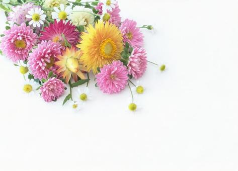 夏の可愛い花束 夏の可愛い花束 花,夏花,花束の写真素材