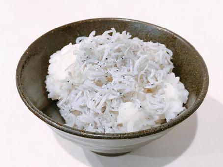 しらすご飯 しらすご飯 しらすご飯,釜揚げしらす,しらすの写真素材