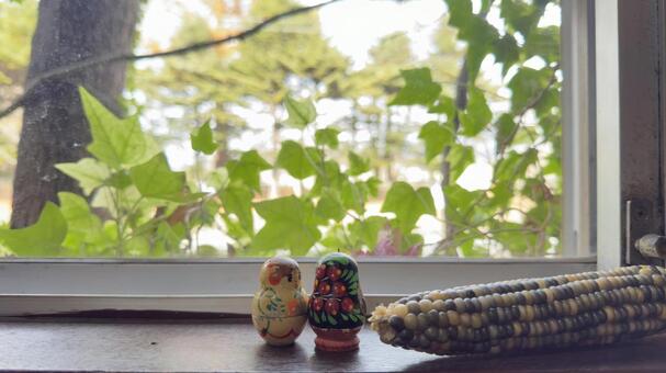 窓から見える風景　ツタの緑とトウモロコシ 蔦,窓,自然光の写真素材