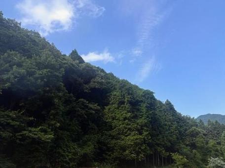 どこかで どこかで 青空,森,雲の写真素材