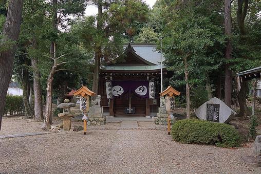 パワースポット 市杵島姫神社③ 本殿 パワースポット 市杵島姫神社③ 本殿の写真