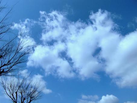 三月の雲-2 三月の雲-2の写真