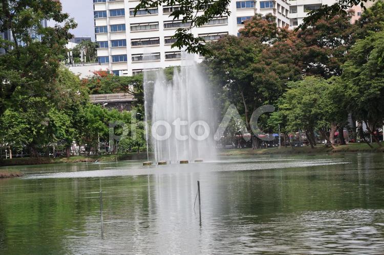 大きな噴水のある池のあるバンコクの公園 大きな,噴水,池の写真素材