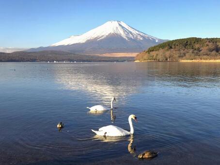 雪の富士山と山中湖 富士山,雪景色,山中湖の写真素材