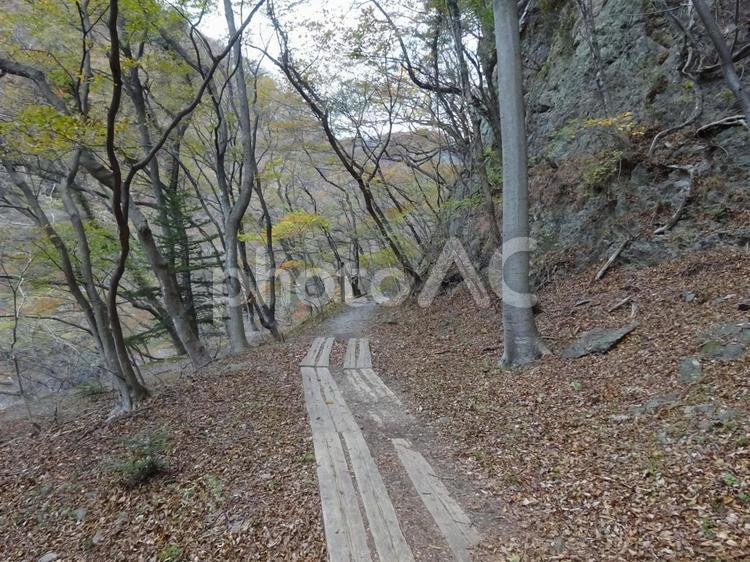 龍王峡（むささび橋～川治温泉駅の風景） 龍王峡,風景,鬼怒川の写真素材
