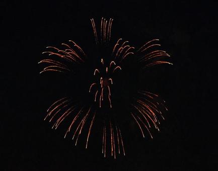 垂れてゆく花火 垂れてゆく花火の写真