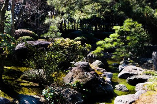 福岡大濠公園の写真