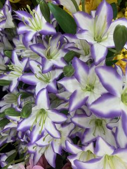 ユリ 花 ユリ 花 花,園芸,ガーデニングの写真素材