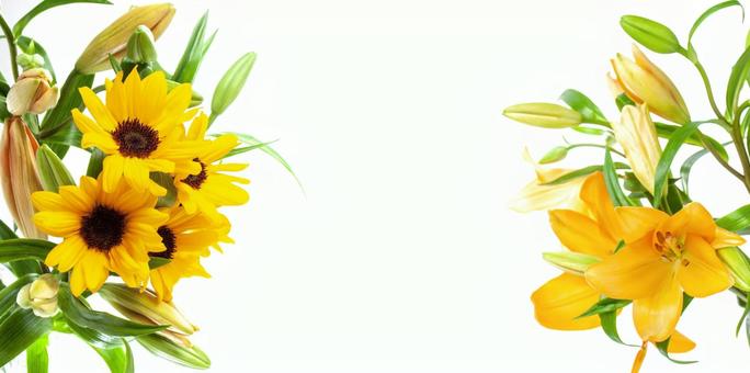 主にイエローカラーの2種花束素材 主にイエローカラーの2種花束素材 花,黄色,ひまわりの写真素材