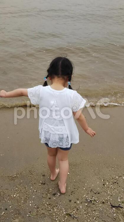 砂浜と後姿の幼児 新舞子,海,砂浜の写真素材
