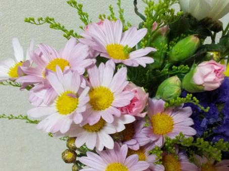 花 花 花,仏花,ピンクの写真素材