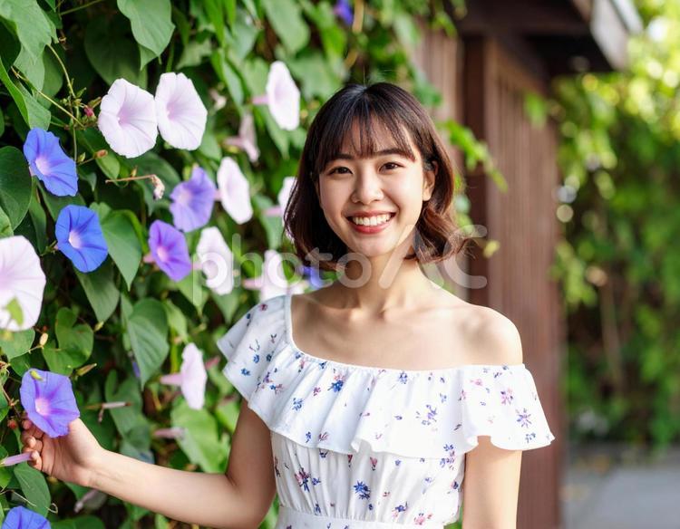 夏の朝・朝顔と笑顔の彼女 女性,朝顔,夏の写真素材