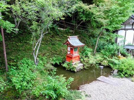 丹州観音寺 丹州観音寺 観音寺,福知山,京都府の写真素材
