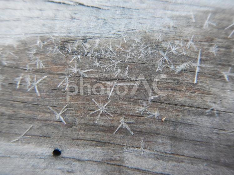 木の板についた霜の結晶 霜,雪,氷の写真素材