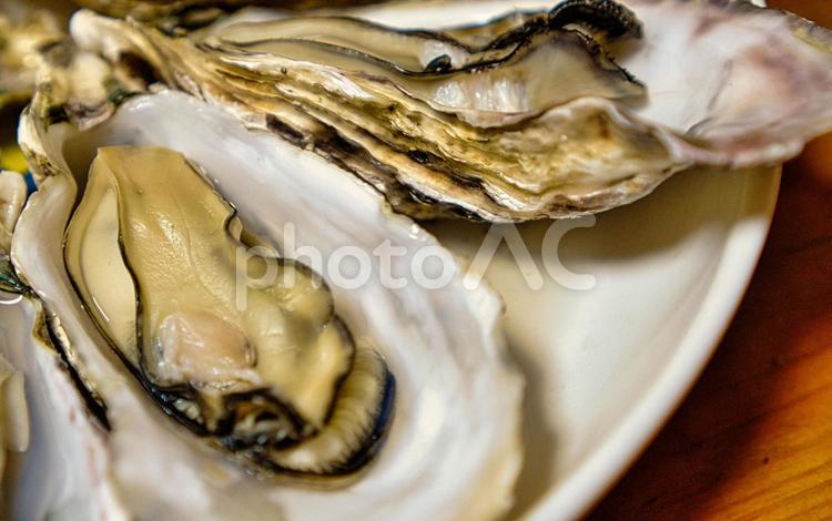 カキ　牡蠣　クローズアップ カキ,牡蠣,蠣の写真素材