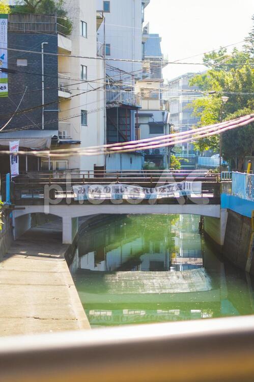 品川区は立会川の景色 下町,品川,品川区の写真素材