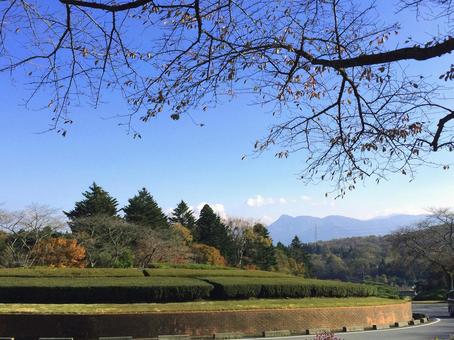 観光地の紅葉と秋空2 観光地の紅葉と秋空2の写真