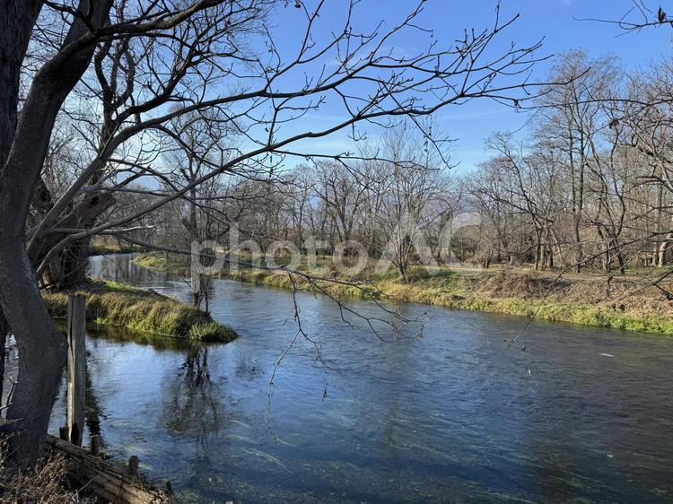 冬の大王わさび農場 大王わさび農場,安曇野,信州の写真素材