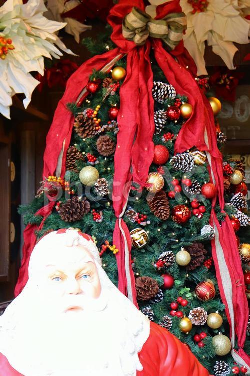 クリスマスツリーとサンタさん クリスマス,クリスマスツリー,飾り付けの写真素材