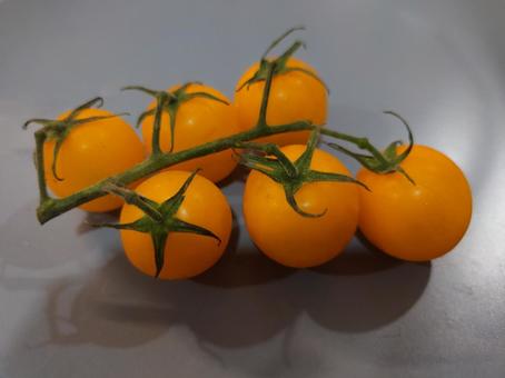 黄色いトマト トマト,プチトマト,ミニトマトの写真素材