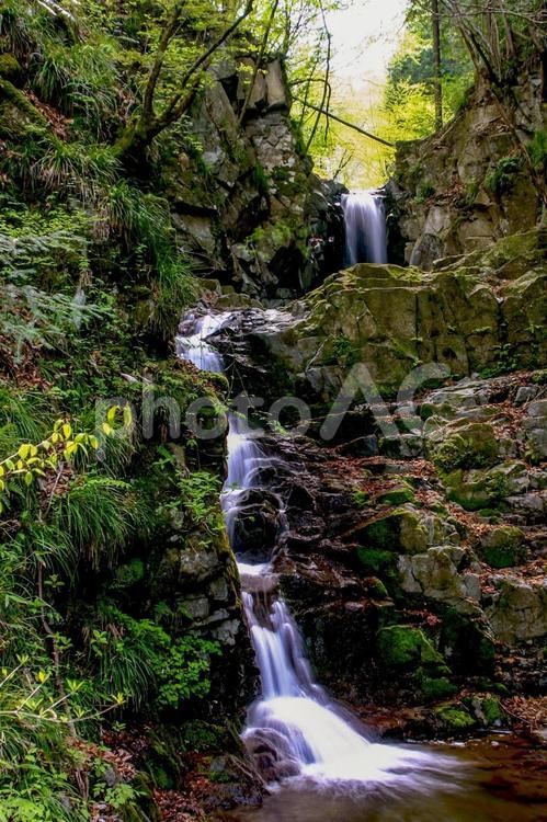 渓谷の風景 渓谷,奥多摩,森林浴の写真素材